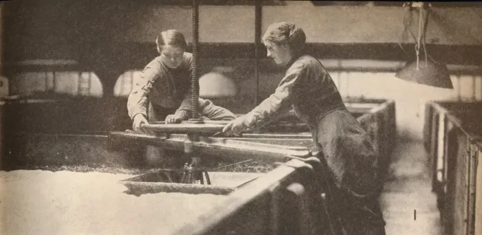 Framed Print : Screwing Down the Yeast in a Burton-On-Trent Brewery, c1916, (1935) Framed Print : Screwing Down the Yeast in a Burton-On-Trent Brewery, c1916, (1935)