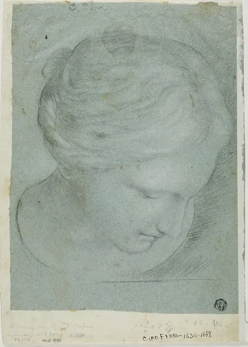 Framed Print : Sculpted Female Head, n.d. Creator: Ciro Ferri Framed Print : Sculpted Female Head, n.d. Creator: Ciro Ferri