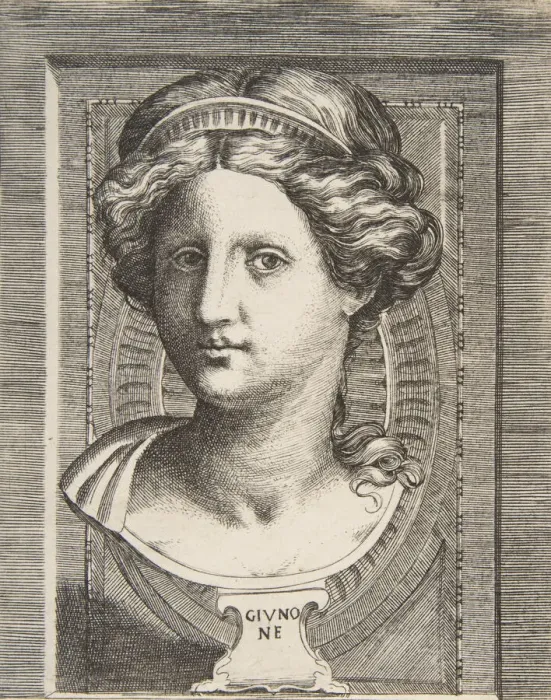 Framed Print : Sculpted head of Juno, ca 1531-76. Creator: Giulio Bonasone Framed Print : Sculpted head of Juno, ca 1531-76. Creator: Giulio Bonasone