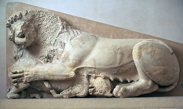 Sculpture of a lioness devouring a bull, 6th century BC