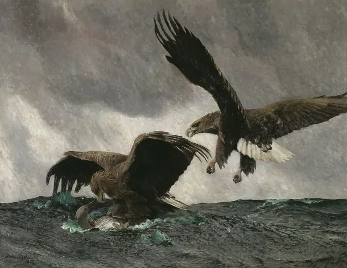 Framed Print : Sea Eagles, 1897. Creator: Bruno Liljefors Framed Print : Sea Eagles, 1897. Creator: Bruno Liljefors