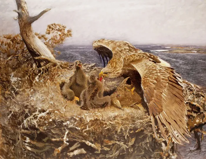 Framed Print : Sea Eagle's Nest, 1907. Creator: Bruno Liljefors Framed Print : Sea Eagle's Nest, 1907. Creator: Bruno Liljefors