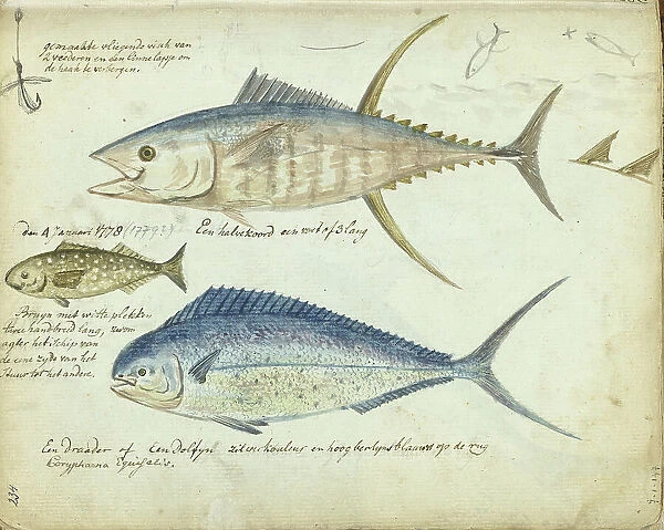 Sea fishing, 1778-1779. Creator: Jan Brandes