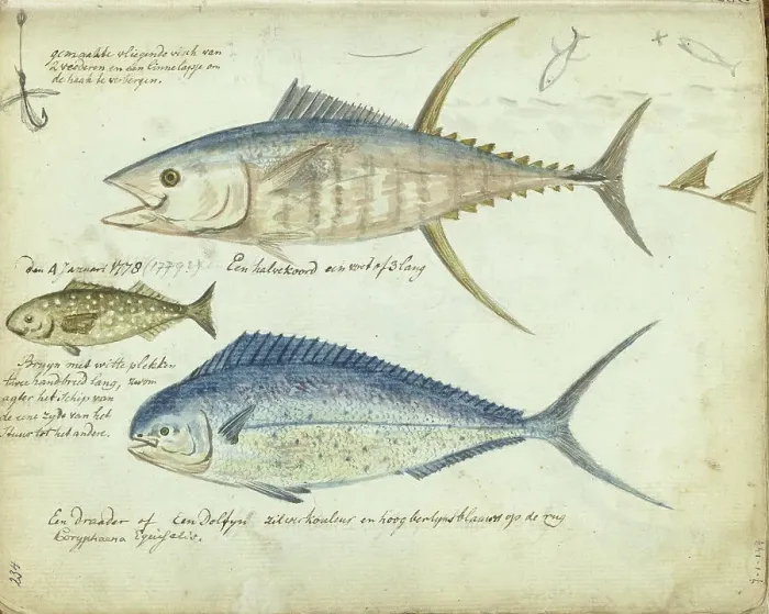 Framed Print : Sea fishing, 1778-1779. Creator: Jan Brandes Framed Print : Sea fishing, 1778-1779. Creator: Jan Brandes