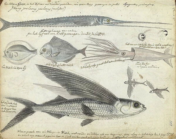 Sea fishing, 1778. Creator: Jan Brandes