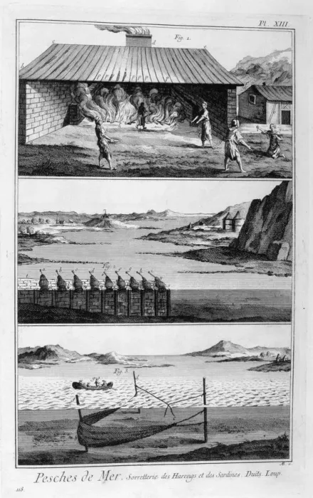 Framed Print : Sea fishing, herring and sardines, 1751-1777 Framed Print : Sea fishing, herring and sardines, 1751-1777