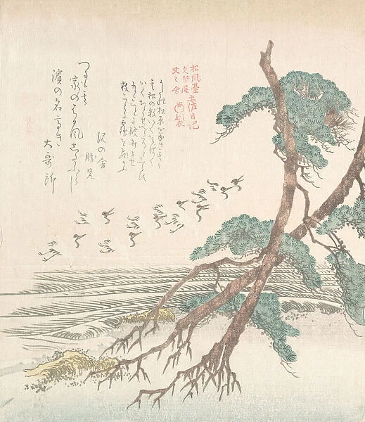 Sea-Side Landscape with Pine Trees and Flying Cranes, 19th century. Creator: Kubo Shunman