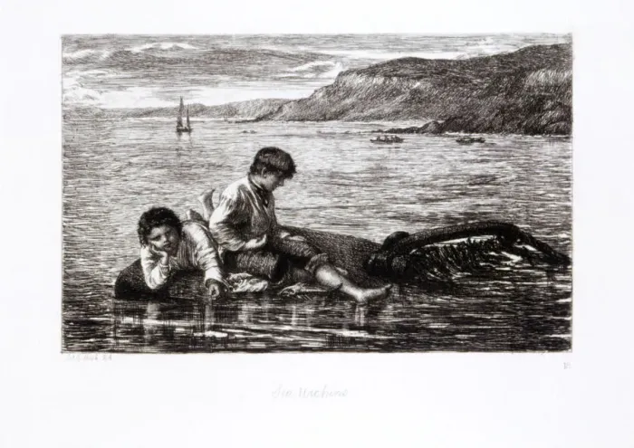 Framed Print : Sea Urchins, 1872. Artist: James Clarke Hook Framed Print : Sea Urchins, 1872. Artist: James Clarke Hook