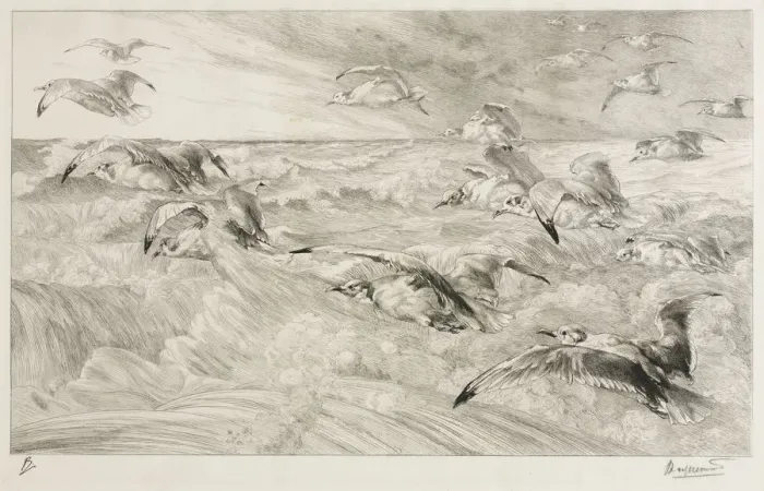 Framed Print : The Seagulls, c. 1880. Creator: Felix Bracquemond (French, 1833-1914) Framed Print : The Seagulls, c. 1880. Creator: Felix Bracquemond (French, 1833-1914)