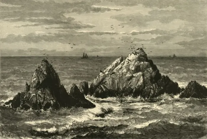Framed Print : Seal Rocks, 1872. Creator: John Filmer Framed Print : Seal Rocks, 1872. Creator: John Filmer