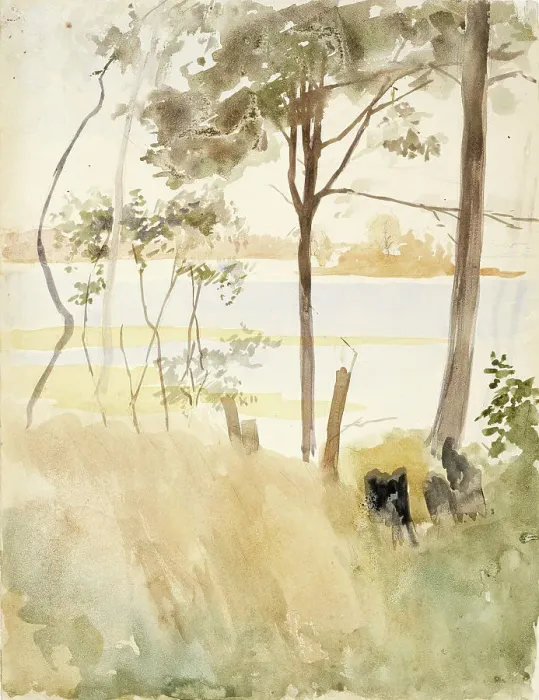 Framed Print : Seashore at Haikko in Autumn, c1890s. Creator: Albert Edelfelt Framed Print : Seashore at Haikko in Autumn, c1890s. Creator: Albert Edelfelt