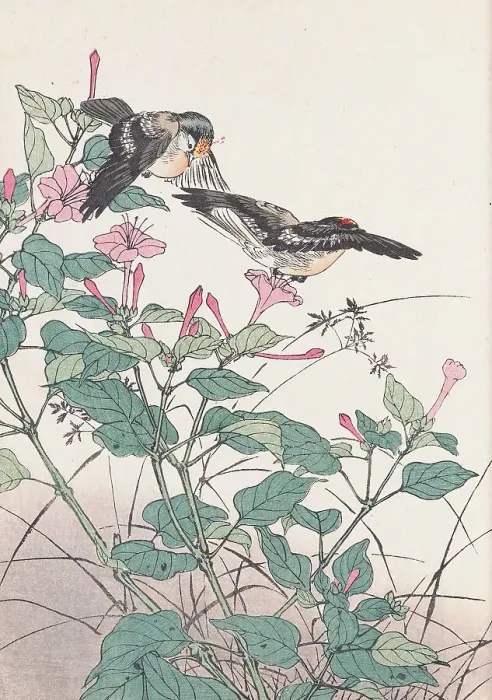 Framed Print : The Four Seasons Bird and Flower Albums (Keinen Kacho Gafu), 1891-1892. Creator: Keinen, Imao (1845-1924) Framed Print : The Four Seasons Bird and Flower Albums (Keinen Kacho Gafu), 1891-1892. Creator: Keinen, Imao (1845-1924)