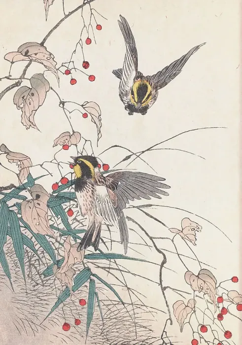 Framed Print : The Four Seasons Bird and Flower Albums (Keinen Kacho Gafu), 1891-1892. Creator: Keinen, Imao (1845-1924) Framed Print : The Four Seasons Bird and Flower Albums (Keinen Kacho Gafu), 1891-1892. Creator: Keinen, Imao (1845-1924)