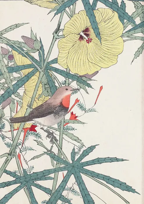 Framed Print : The Four Seasons Bird and Flower Albums (Keinen Kacho Gafu), 1891-1892. Creator: Keinen, Imao (1845-1924) Framed Print : The Four Seasons Bird and Flower Albums (Keinen Kacho Gafu), 1891-1892. Creator: Keinen, Imao (1845-1924)