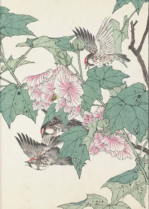 Framed Print : The Four Seasons Bird and Flower Albums (Keinen Kacho Gafu), 1891-1892. Creator: Keinen, Imao (1845-1924) Framed Print : The Four Seasons Bird and Flower Albums (Keinen Kacho Gafu), 1891-1892. Creator: Keinen, Imao (1845-1924)