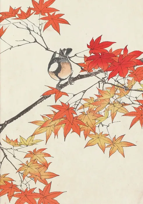 Framed Print : The Four Seasons Bird and Flower Albums (Keinen Kacho Gafu), 1891-1892. Creator: Keinen, Imao (1845-1924) Framed Print : The Four Seasons Bird and Flower Albums (Keinen Kacho Gafu), 1891-1892. Creator: Keinen, Imao (1845-1924)