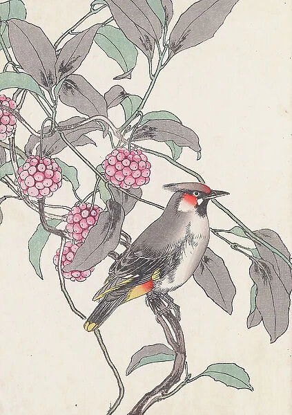 The Four Seasons Bird and Flower Albums (Keinen Kacho Gafu), 1891-1892. Creator: Keinen, Imao (1845-1924)