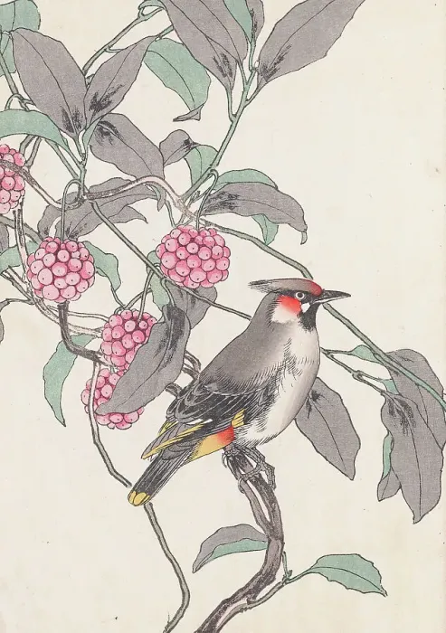 Framed Print : The Four Seasons Bird and Flower Albums (Keinen Kacho Gafu), 1891-1892. Creator: Keinen, Imao (1845-1924) Framed Print : The Four Seasons Bird and Flower Albums (Keinen Kacho Gafu), 1891-1892. Creator: Keinen, Imao (1845-1924)