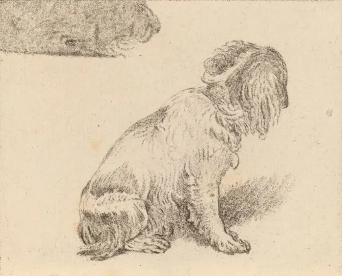 Framed Print : Seated Dog, 1777. Creator: Cornelis Brouwer Framed Print : Seated Dog, 1777. Creator: Cornelis Brouwer