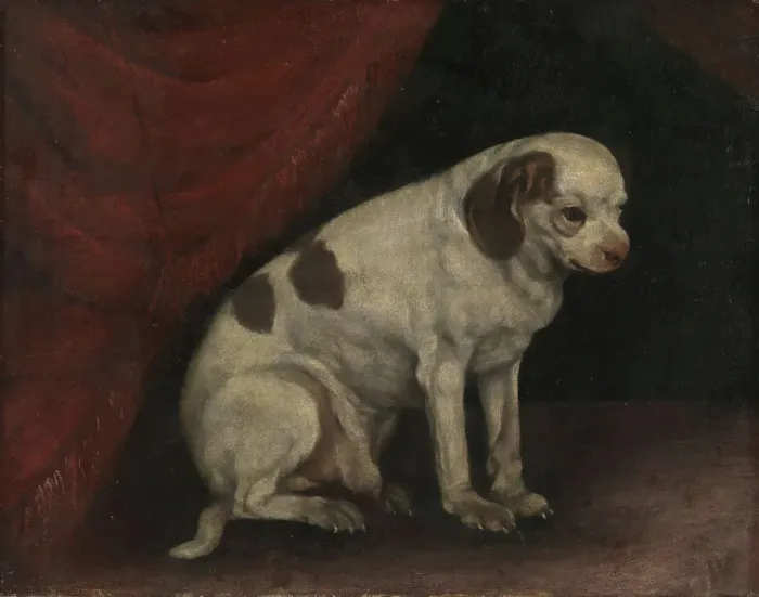 Framed Print : Seated dog, probably 19th century. Creator: Unknown Framed Print : Seated dog, probably 19th century. Creator: Unknown