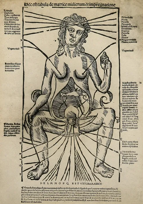 Framed Print : A seated female figure with a dissected abdomen, c1525-1530 (woodcut). Creator: Unknown Framed Print : A seated female figure with a dissected abdomen, c1525-1530 (woodcut). Creator: Unknown