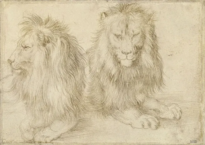 Framed Print : Two seated lions, 1521. Artist: Durer, Albrecht (1471-1528) Framed Print : Two seated lions, 1521. Artist: Durer, Albrecht (1471-1528)