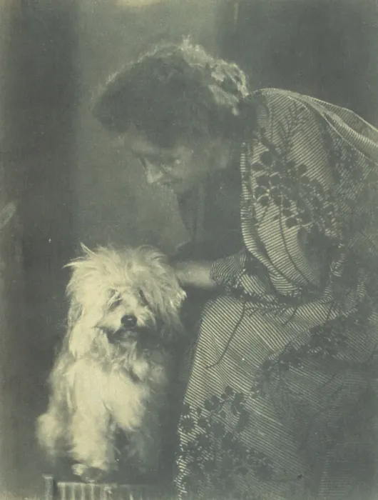 Framed Print : Seated woman petting her white dog, c1900. Creator: Virginia M Prall Framed Print : Seated woman petting her white dog, c1900. Creator: Virginia M Prall