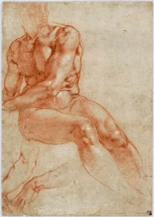 Framed Print : Seated Young Male Nude and Two Arm Studies, ca 1510-1511. Artist: Buonarroti, Michelangelo (1475-1564) Framed Print : Seated Young Male Nude and Two Arm Studies, ca 1510-1511. Artist: Buonarroti, Michelangelo (1475-1564)