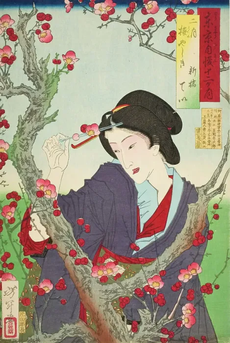 Framed Print : Second Month: Tei of Shinbashi by a Plum Tree at Umeyashiki, 1880. Creator: Tsukioka Yoshitoshi Framed Print : Second Month: Tei of Shinbashi by a Plum Tree at Umeyashiki, 1880. Creator: Tsukioka Yoshitoshi