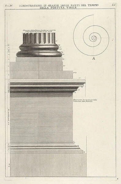 Section of column base from the Temple of Fortuna Virilis (Tempio della Fortuna Virile)