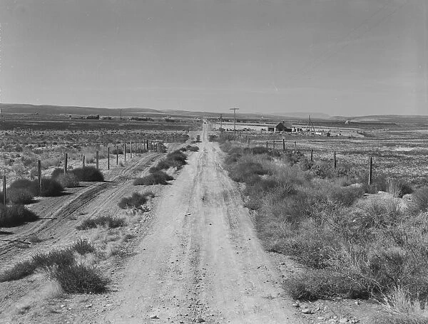 Section of lone road approaching the Schroeder place, Dead Ox Flat, Malheur County, Oregon, 1939. Creator: Dorothea Lange