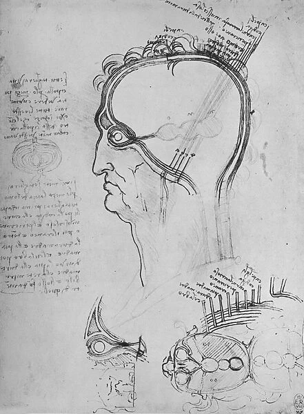 Sections of a Mans Head Showing the Anatomy of the Eye, Etc. c1480 (1945). Artist: Leonardo da Vinci