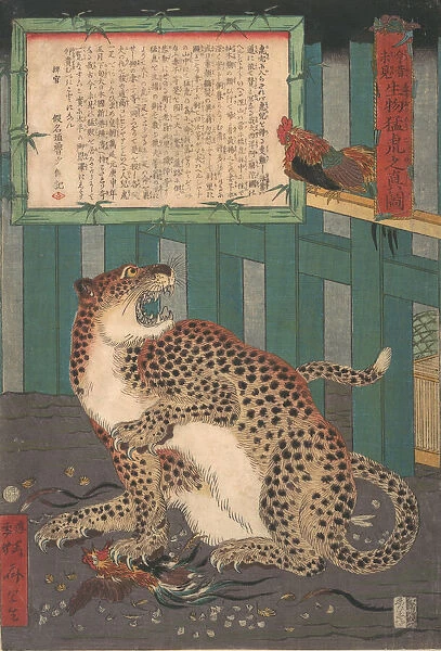 Never Seen Before: True Picture of a Live Wild Tiger... sixth month 1860. Creator: Kawanabe Kyosai