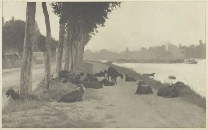 Framed Print : On the Seine-Near Paris, 1894, printed 1897. Creator: Alfred Stieglitz Framed Print : On the Seine-Near Paris, 1894, printed 1897. Creator: Alfred Stieglitz