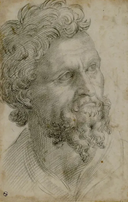 Framed Print : Self-Portrait, ca 1542. Creator: Cellini, Benvenuto (1500-1571) Framed Print : Self-Portrait, ca 1542. Creator: Cellini, Benvenuto (1500-1571)