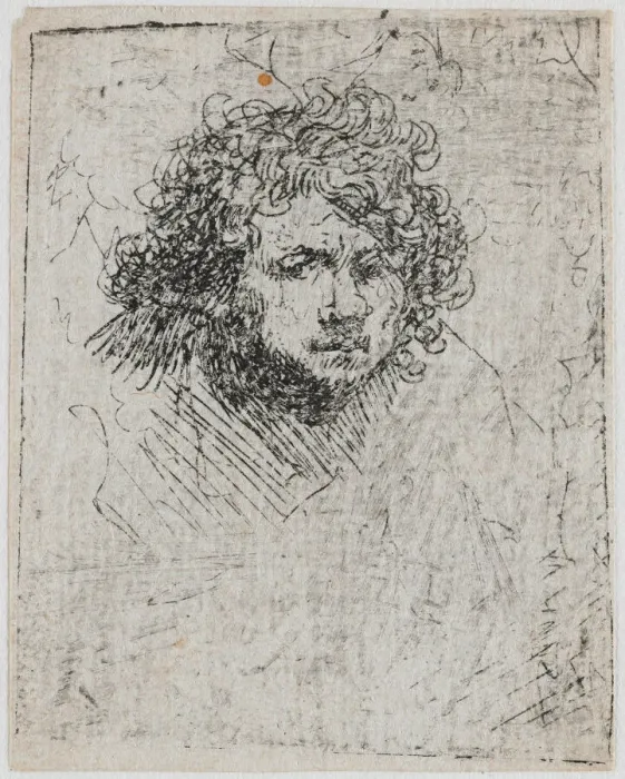 Framed Print : Self-Portrait, ca 1626-1629. Creator: Rembrandt van Rhijn (1606-1669) Framed Print : Self-Portrait, ca 1626-1629. Creator: Rembrandt van Rhijn (1606-1669)