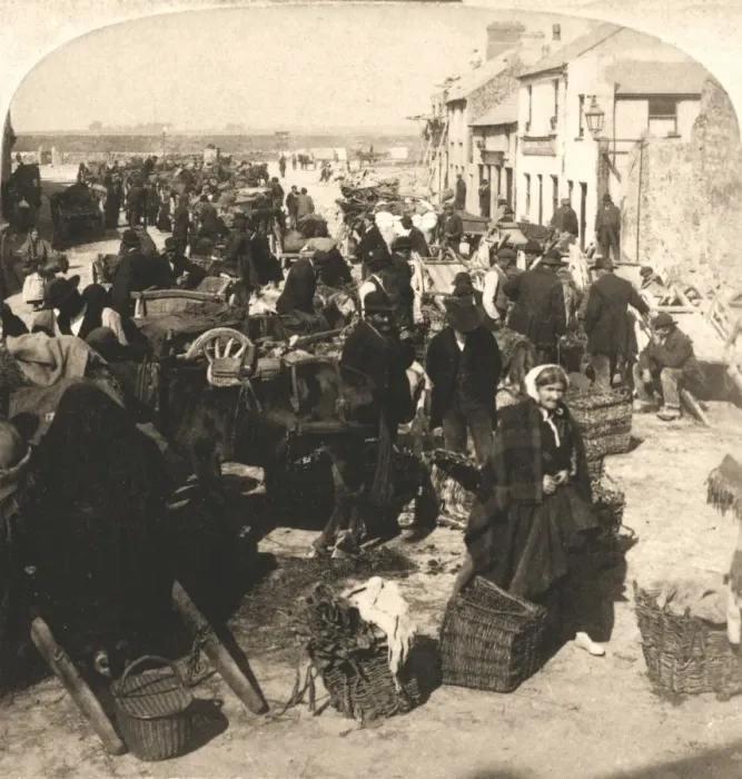 Framed Print : Selling the Irishmans Staff of Life, the Potatoe Market, Galway, Ireland, 1901 Framed Print : Selling the Irishmans Staff of Life, the Potatoe Market, Galway, Ireland, 1901