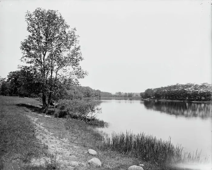Framed Print : Seneca River, N.Y. between 1900 and 1906. Creator: Unknown Framed Print : Seneca River, N.Y. between 1900 and 1906. Creator: Unknown