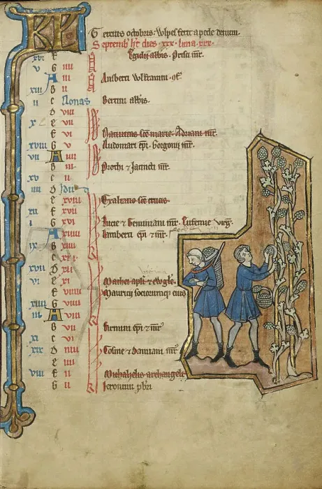 Framed Print : September Calendar Page; Harvesting Grapes; Psalter, mid-1200s. Creator: Unknown
