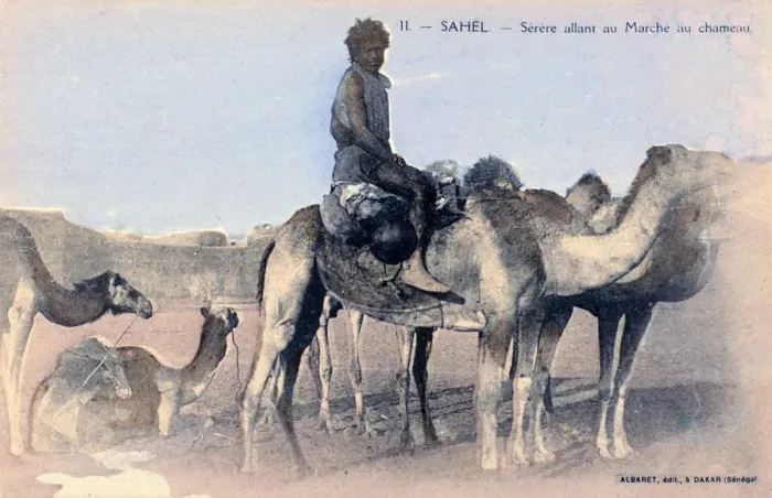 Framed Print : Serere, the Sahel, Senegal, 20th century. Artist: Albaret Framed Print : Serere, the Sahel, Senegal, 20th century. Artist: Albaret