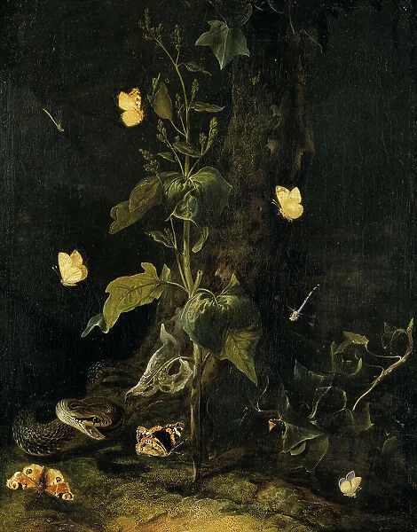 Serpent and Butterflies in the Woods, mid-17th century. Creator: Otto Marseus van Schrieck