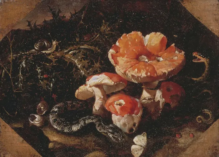 Framed Print : Serpents, Fly Agarics and Thistles, mid-17th century. Creator: Paolo Porpora Framed Print : Serpents, Fly Agarics and Thistles, mid-17th century. Creator: Paolo Porpora