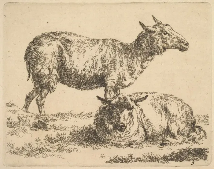 Framed Print : from The Set of Sheep. Creator: Nicolaes Berchem Framed Print : from The Set of Sheep. Creator: Nicolaes Berchem