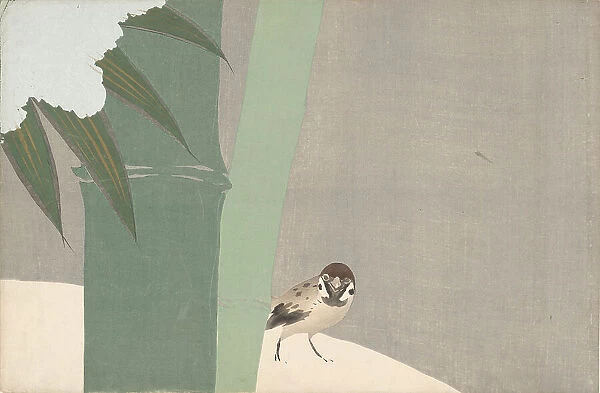 Settchu-take (Bamboo in Snow). From the series 'A World of Things (Momoyogusa)', 1909-1910. Creator: Sekka, Kamisaka (1866-1942). Settchu-take (Bamboo in Snow). From the series 'A World of Things (Momoyogusa)', 1909-1910