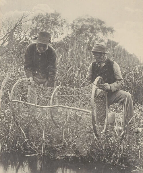 Setting Up the Bow-Net, 1886. Creator: Dr Peter Henry Emerson