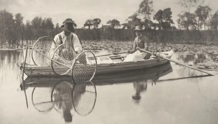 Framed Print : Setting the Bownet, 1886. Creator: Dr Peter Henry Emerson Framed Print : Setting the Bownet, 1886. Creator: Dr Peter Henry Emerson
