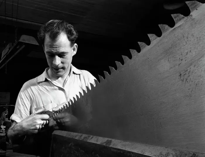 Framed Print : Setting the saw teeth a two metre saw blade, Sheffield, South Yorkshire, 1963. Artist Framed Print : Setting the saw teeth a two metre saw blade, Sheffield, South Yorkshire, 1963. Artist