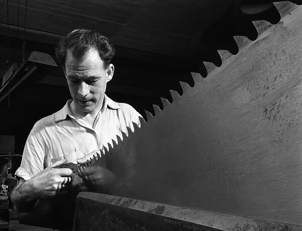 Setting the saw teeth a two metre saw blade, Sheffield, South Yorkshire, 1963. Artist