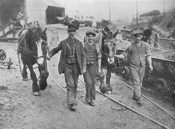 After the settlement: Miners taking their ponies back to the pit, 1915
