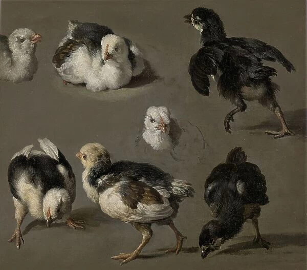 Seven Chicks, c.1665-c.1668. Creator: Melchior d'Hondecoeter